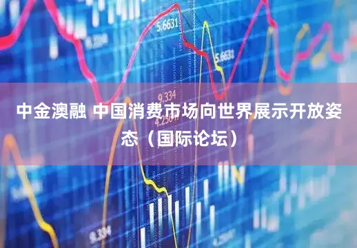 中金澳融 中国消费市场向世界展示开放姿态（国际论坛）