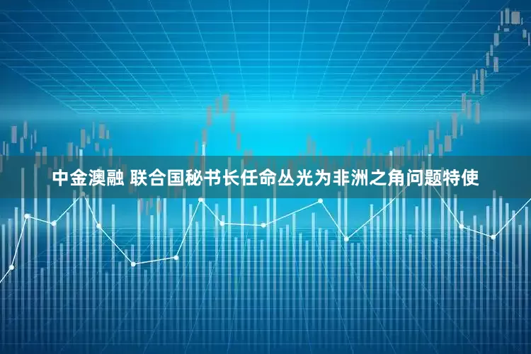 中金澳融 联合国秘书长任命丛光为非洲之角问题特使